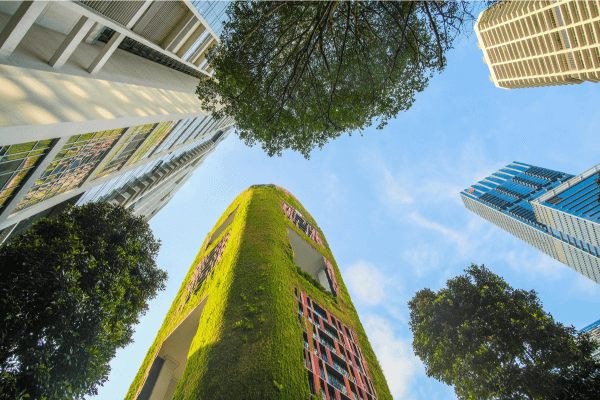 Como Identificar o Microclima do Seu Apartamento em 3 Passos