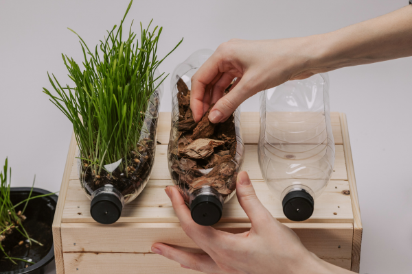 Como Criar Zonas Climáticas Diferentes com Materiais Simples