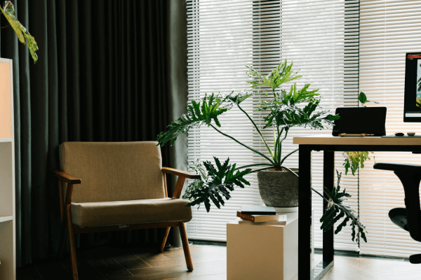 Cultivo terapêutico para ambientes de trabalho em home office