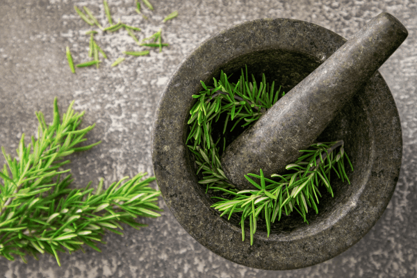 Iluminação ideal para plantas medicinais em ambientes fechados